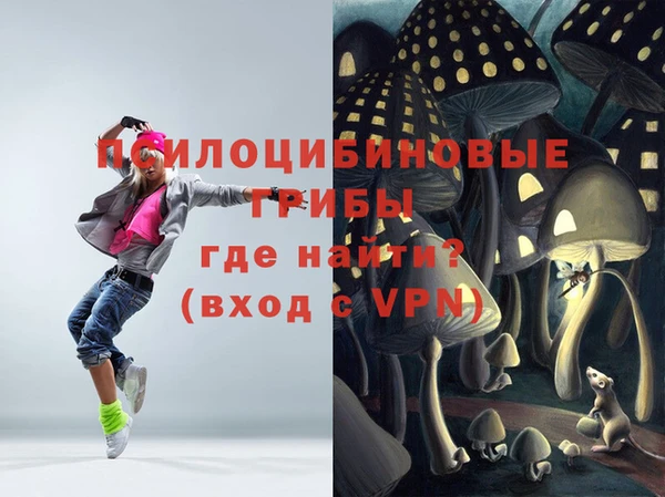 прущие крисы Мурманск