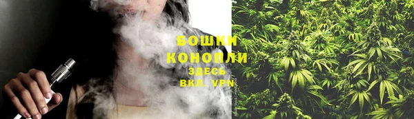 прущие крисы Мурманск